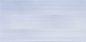 ПО9АК606 24,9*50