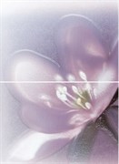 Лила ПН7ЛЛ2 (компл из 2-х шт) 36,4х49,8