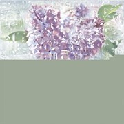 Сирио ПН9СИ3 (комплект 2шт) 50х49,8