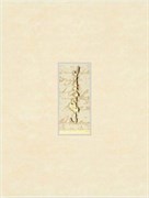 Верди декор 1634-0048 25х33