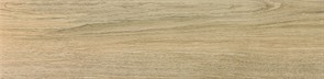 LABEST OLIVO, 24x97