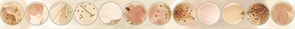Mold Manzano Бордюр 5х50
