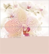 Dec Orchid Panno (панно из 2-х шт) КПН16Orchid 50х45
