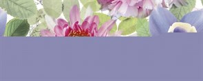 Dec Passion Panno A КПН17PassionA 20х50