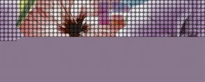 Dec Pixie Panno A КПН17PixieA 20х50