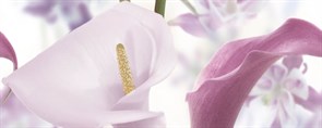 Dec Sano Panno A КПН17SanoA 20х50