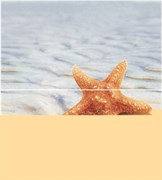 Dec Starfish 1 Panno (панно из 2-х шт) КПН16Starfish1 50х45