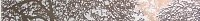 Castylia Klon Бордюр Drzewo MIX 6,5х60