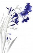 Spring bialy 2 centro Декор 25х40