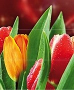 Syntia Tulip B Панно (из 3пл) 60х50
