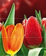 Syntia Tulip А Панно (из 3пл) 60х50