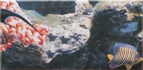 Decor Ocean 7 Декор 10x20