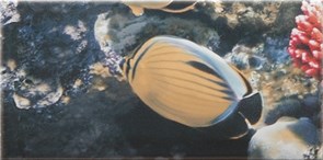 Decor Ocean 8 Декор 10x20