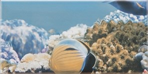 Decor Ocean 5 Декор 10x20