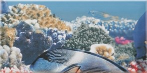Decor Ocean 6 Декор 10x20