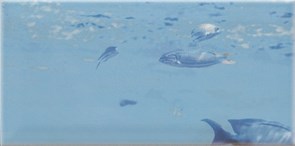 Decor Ocean 2 Декор 10x20
