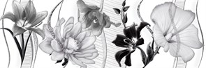 Dalia Gris 3 Декор в ассортименте 30х90