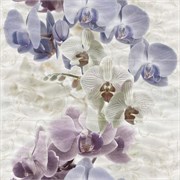 Decor Jaen-3 Панно (из 3-х пл.) 75х75