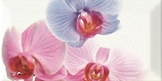 Decor Orchidea 1 Декор 10x20