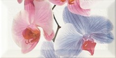 Decor Orchidea 2 Декор 10x20