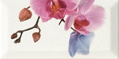 Decor Orchidea 4 Декор 10x20