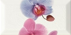 Decor Orchidea 3 Декор 10x20