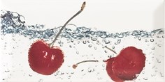 Decor Aqua Cherry Декор 10x20