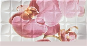 Dec. Orchid B Blanco BLN Декор 31,6x59,34