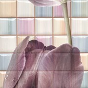 Dec Frame B Mix Декор 31,6х31,6