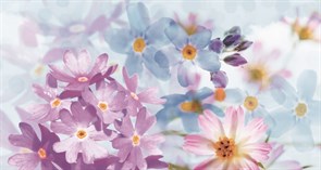 Dec Eros A Blanco Декор 31,6х59,34