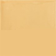 GIORNO AMARILLO 20*20