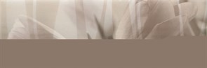 Decor Intense Visone 20*60