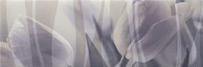 Decor Sensuelle Violette 20*60