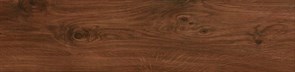 Frame Oak 22,5x90 ректификат