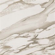 S.M. Calacatta Gold 45x45 СП526