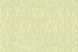 AEN021D Aster 30x45