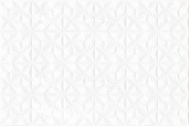 AEN052D Aster 30x45
