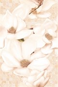 LI2N011DT Dec Linda Beige 30x45