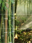 C-NT2H021D Nature Dao 1 панно (компл из 3-х шт) 80x60