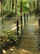 C-NT2H022D Nature Dao 2 панно (компл из 3-х шт) 80x60
