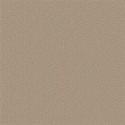 C-PC4R012D Princess 42x42