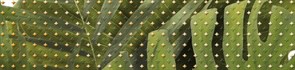 TC1C021DT Tropicana бордюр 6x25