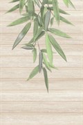 ZD2N012DT Zenda 30x45