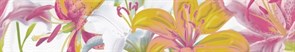 Бордюр Variete Bouquet 9x50.5