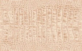 Люкс Плитка настенная бежевая 31x50