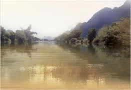 Бамбук ВС7БМ124 Декор 24,9х36,4