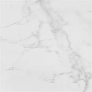 Carrara Blanco Brillo 59.6x59.6
