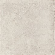 V5590696 Ocean Beige 59.6x59.6