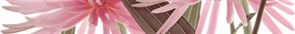 EUPHORIA PERLA A04/P