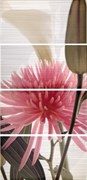 Decor Set (4) Euphoria Perla 31.6*63.2 (комплект 4шт)